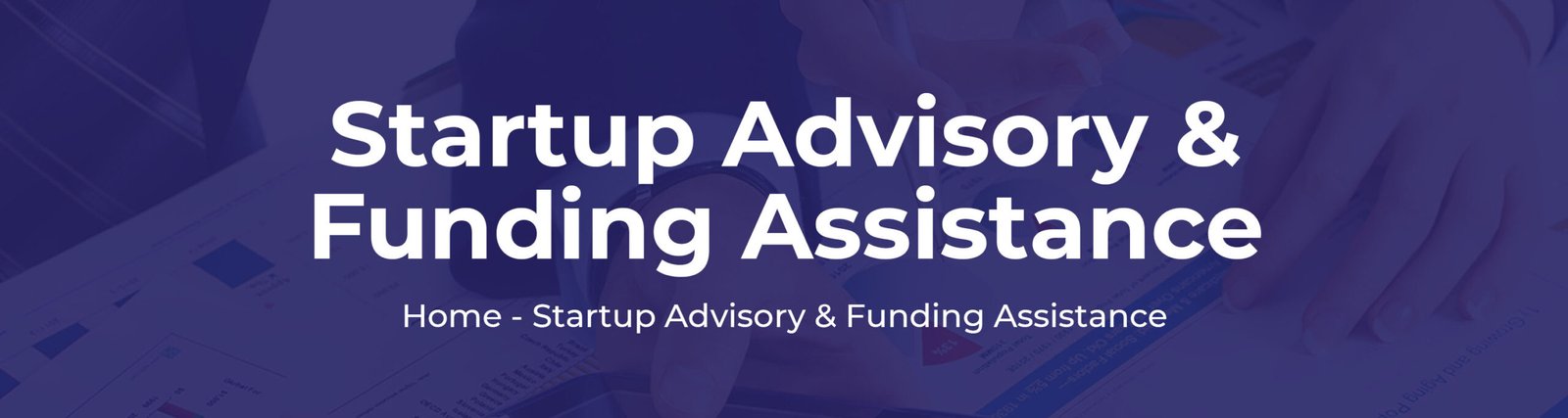 Startup Advisory & Funding Assistance