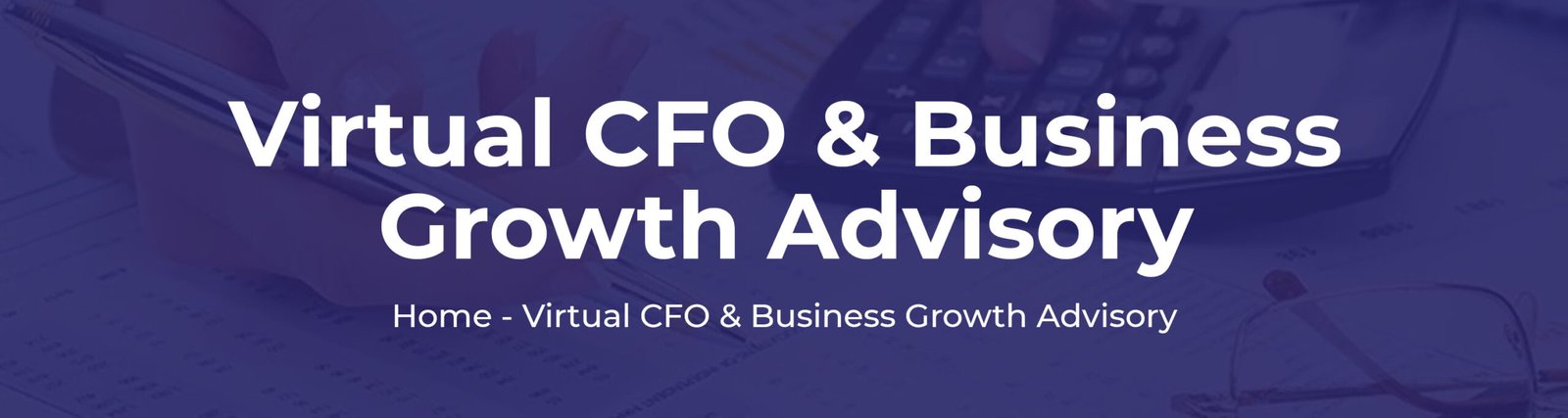 Virtual CFO & Business Growth Advisory